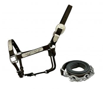 Dark Oil Average Horse size leather double stitched silver bar show halter with lead