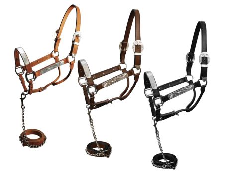 Horse size show halter with matching lead