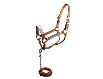Horse size show halter with matching lead #2