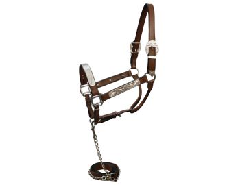 Horse size show halter with matching lead #3
