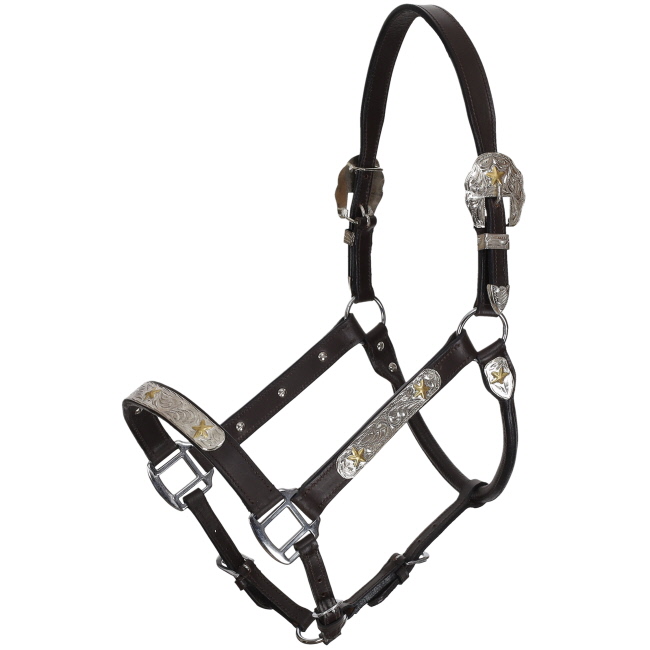Showman Silver & Gold Star Leather Show Halter with Lead - Average #2