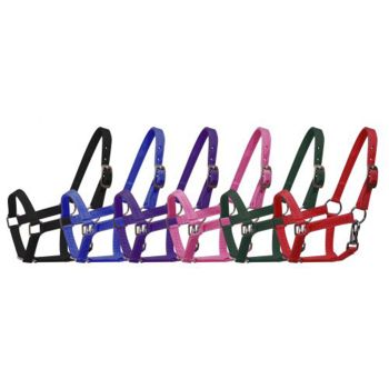 Pony Size Nylon Halter with Throatlatch Snap