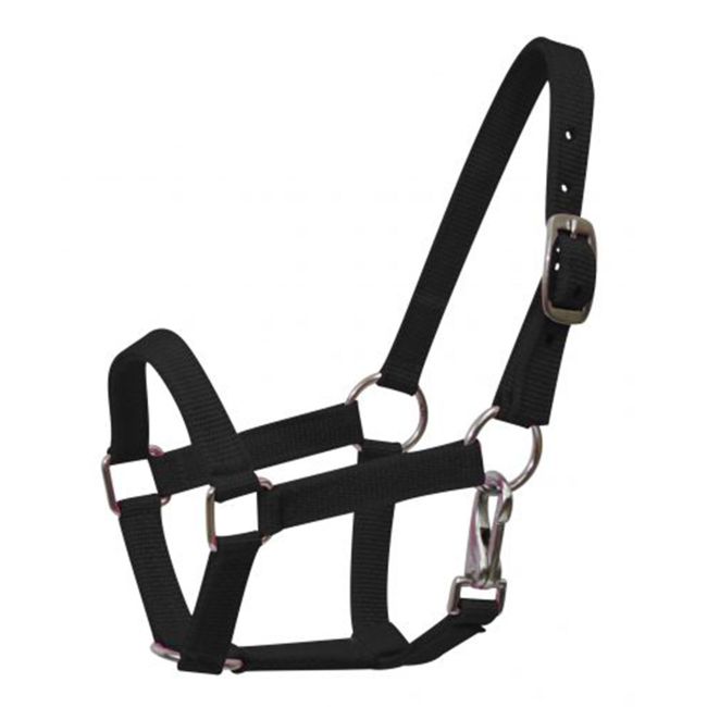 Pony Size Nylon Halter with Throatlatch Snap #2