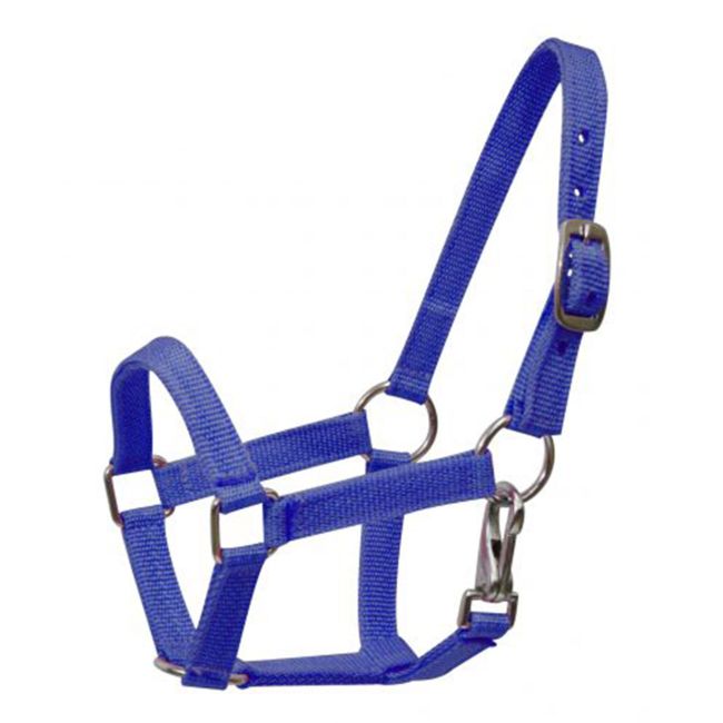Pony Size Nylon Halter with Throatlatch Snap #3