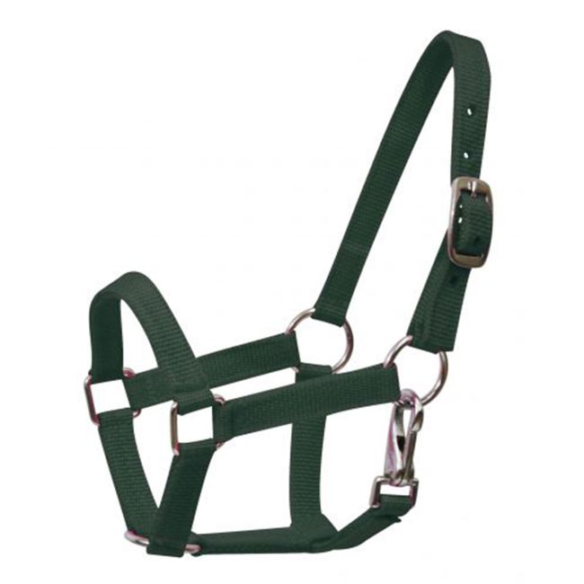 Pony Size Nylon Halter with Throatlatch Snap #4