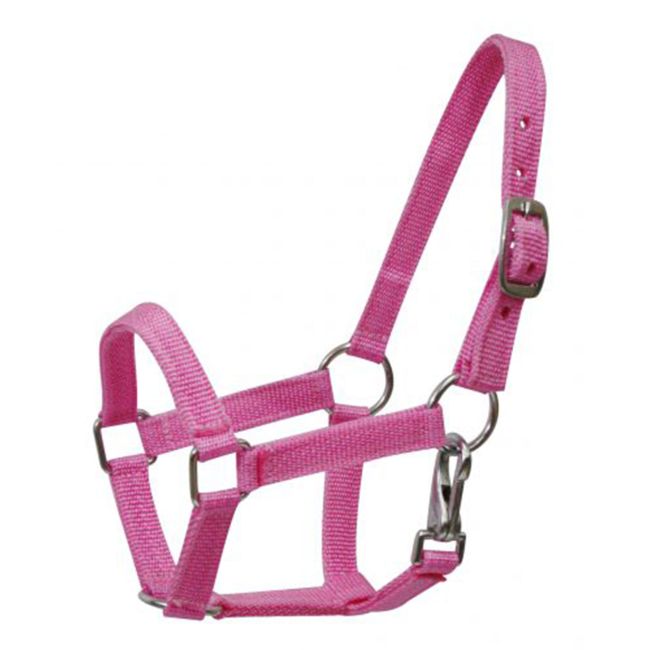 Pony Size Nylon Halter with Throatlatch Snap #5