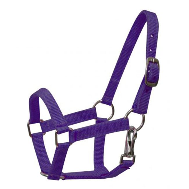 Pony Size Nylon Halter with Throatlatch Snap #6