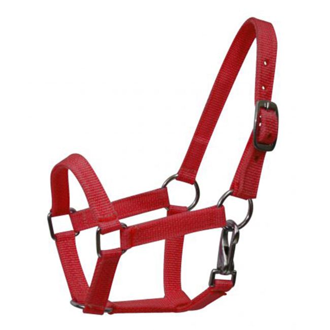 Pony Size Nylon Halter with Throatlatch Snap #7