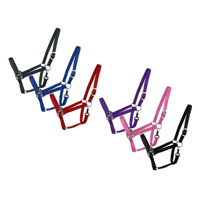 2-Ply Nylon Cob Halter