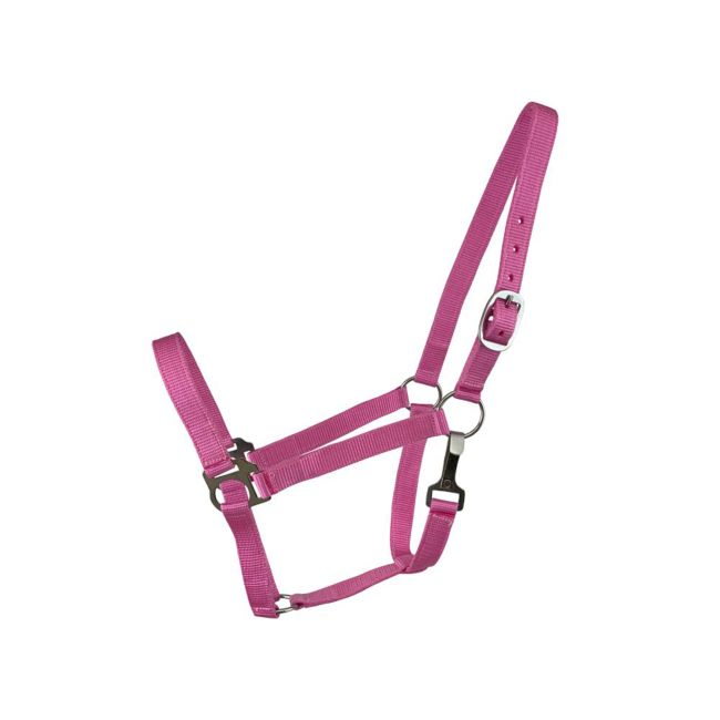 2-Ply Nylon Cob Halter #4