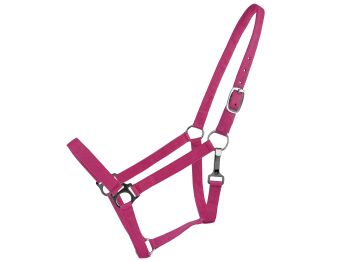 Double Ply Horse size halter #6