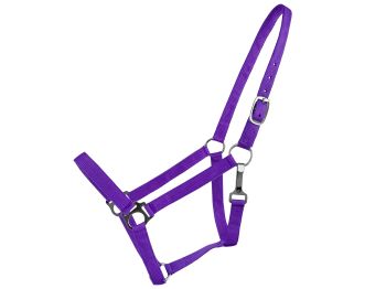 Double Ply Horse size halter #5