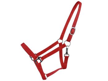Double Ply Horse size halter #8