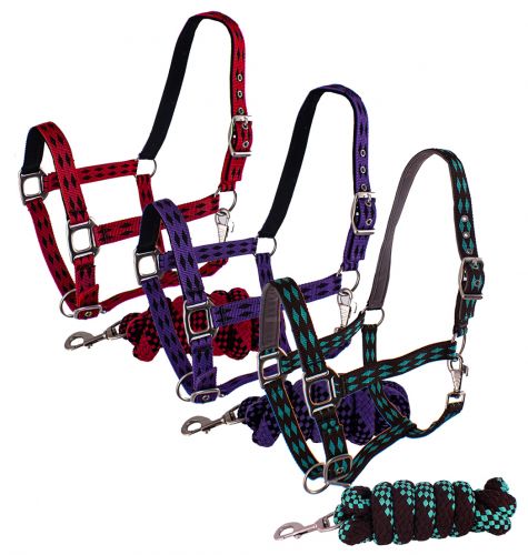 3ply nylon horse halter with diamond print design and matching lead