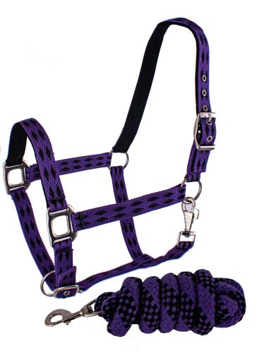3ply nylon horse halter with diamond print design and matching lead #4
