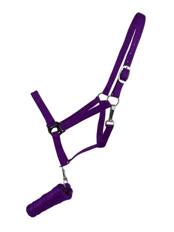 Full Size adjustable nylon halter with 8.5FT lead #6