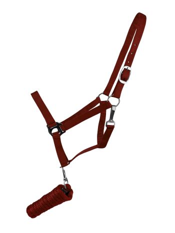 Full Size adjustable nylon halter with 8.5FT lead #5