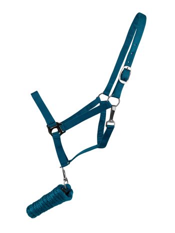 Full Size adjustable nylon halter with 8.5FT lead #4