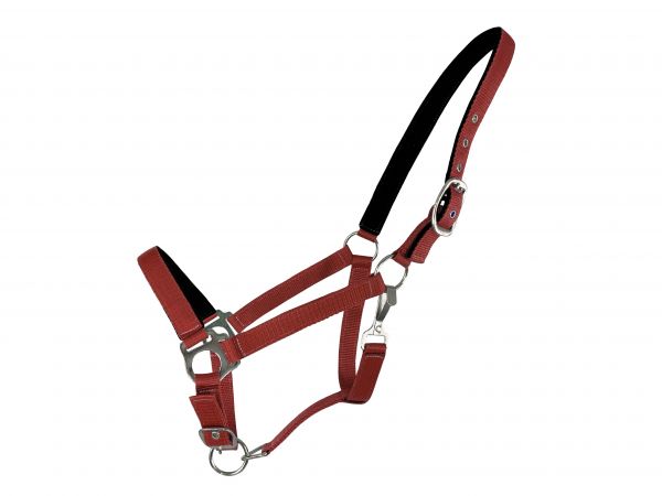 Horse Size Neoprene lined Nose and Crown Halter #2