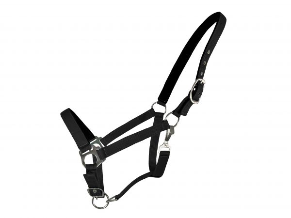 Horse Size Neoprene lined Nose and Crown Halter #3