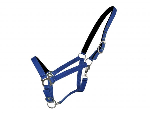 Horse Size Neoprene lined Nose and Crown Halter #4