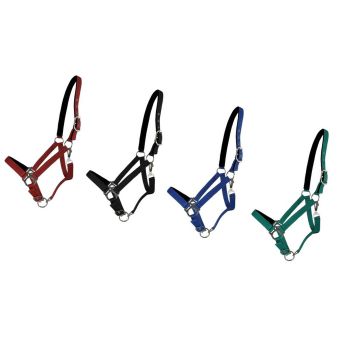 Horse Size Halter with Neoprene Lined Nose and Crown