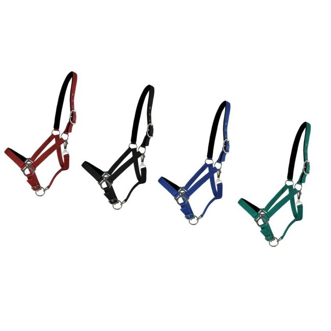 Horse Size Halter with Neoprene Lined Nose and Crown