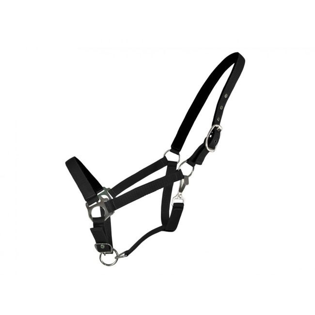 Horse Size Halter with Neoprene Lined Nose and Crown #2