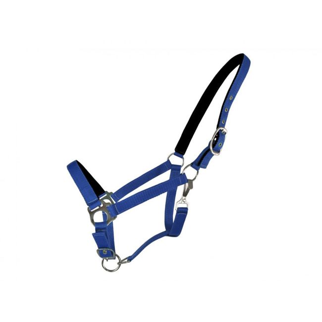 Horse Size Halter with Neoprene Lined Nose and Crown #3