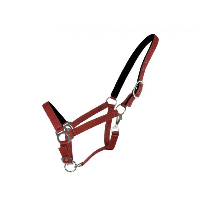 Horse Size Halter with Neoprene Lined Nose and Crown #4