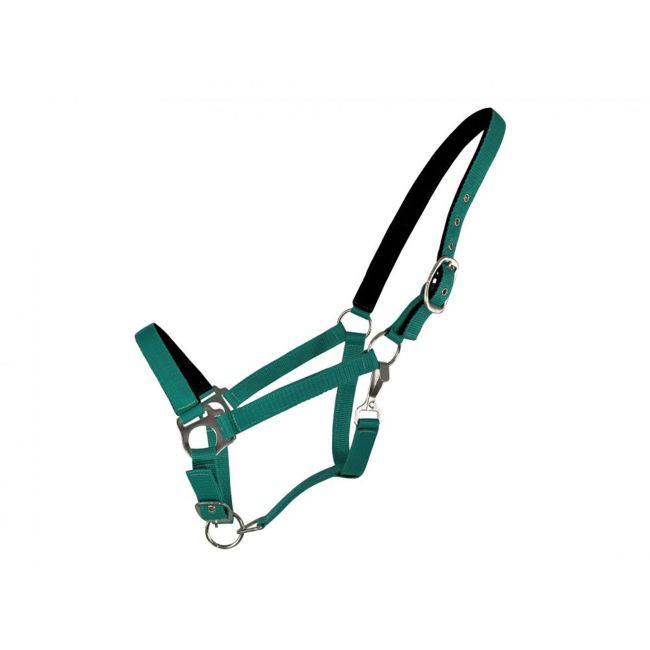 Horse Size Halter with Neoprene Lined Nose and Crown #5
