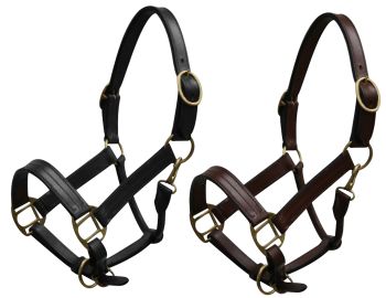 Yearling size leather halter with brass hardware