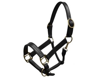 Yearling size leather halter with brass hardware #2
