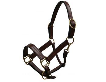 Yearling size leather halter with brass hardware #3