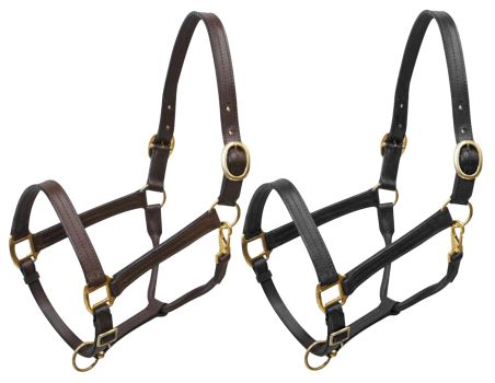 Large horse size (1100-1600lbs) leather halter with brass hardware