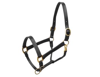 Large horse size (1100-1600lbs) leather halter with brass hardware #2