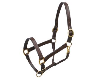 Large horse size (1100-1600lbs) leather halter with brass hardware #3
