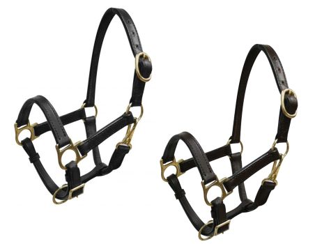 Mini size leather halter with brass hardware