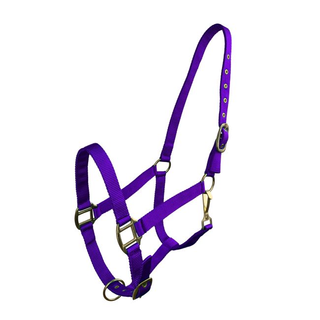 Cob Size Triple Ply Nylon Halter with Brass Hardware #7