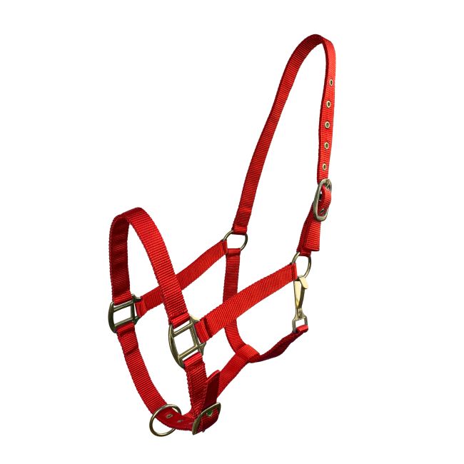 Cob Size Triple Ply Nylon Halter with Brass Hardware #8