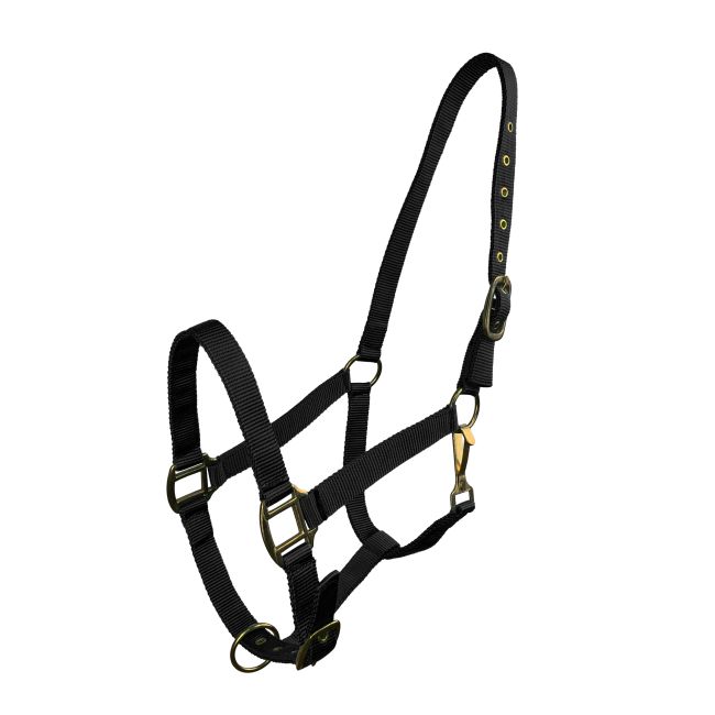 Horse Size Triple Ply Nylon Halter with Brass Hardware #2