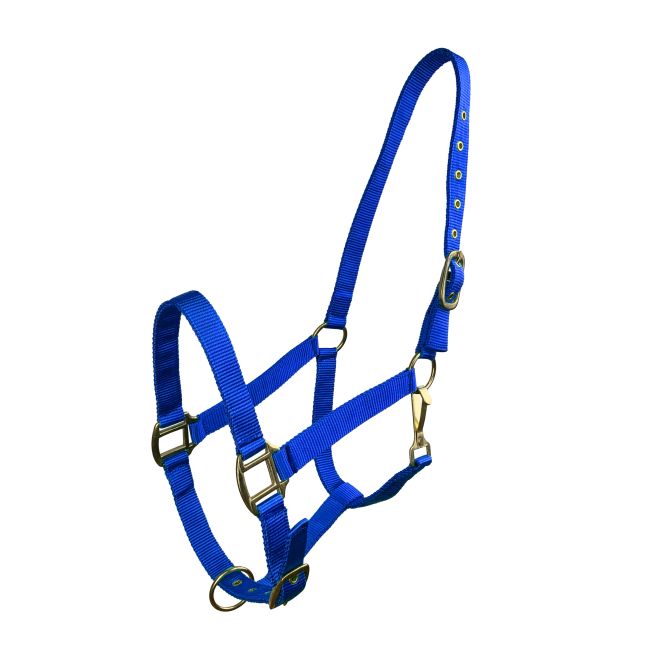 Horse Size Triple Ply Nylon Halter with Brass Hardware #3