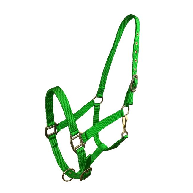 Horse Size Triple Ply Nylon Halter with Brass Hardware #5