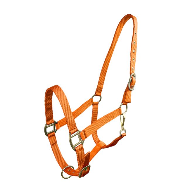 Horse Size Triple Ply Nylon Halter with Brass Hardware #6