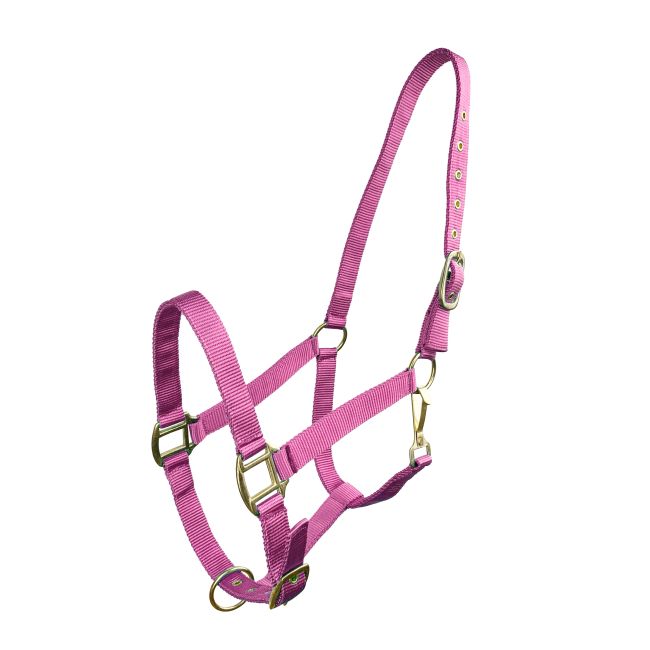 Horse Size Triple Ply Nylon Halter with Brass Hardware #7