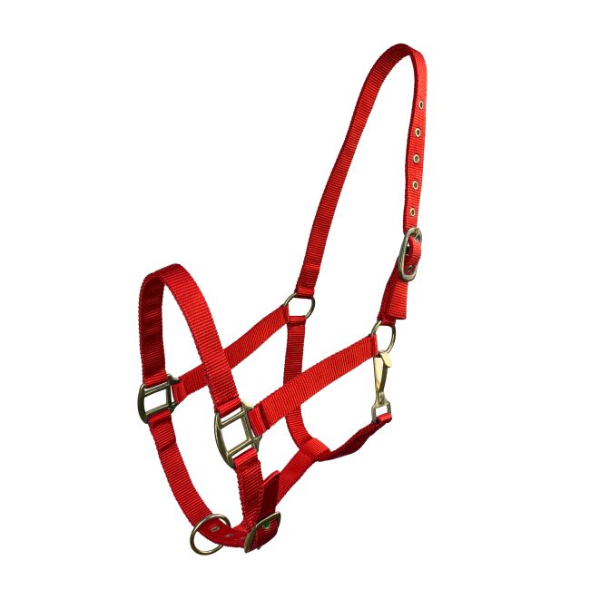 Horse Size Triple Ply Nylon Halter with Brass Hardware #9