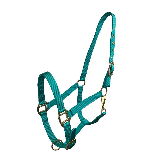 Horse Size Triple Ply Nylon Halter with Brass Hardware #10