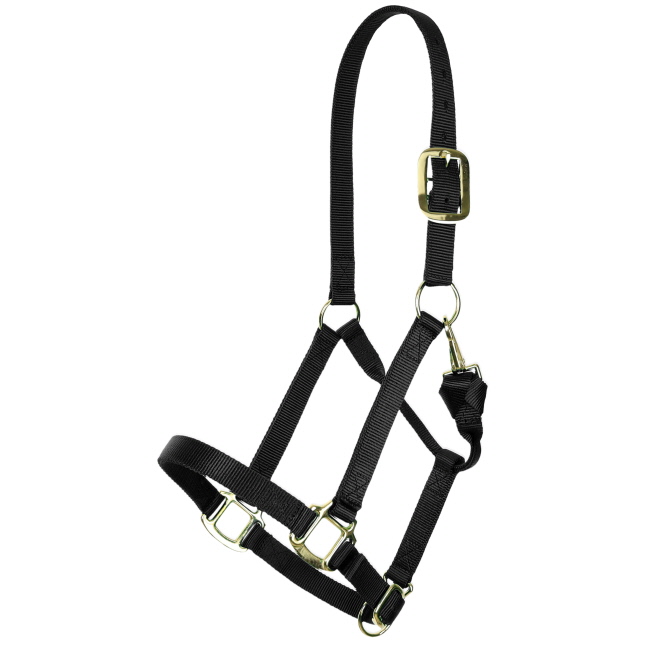 Showman Deluxe Nylon Halter with Throat Clip #2