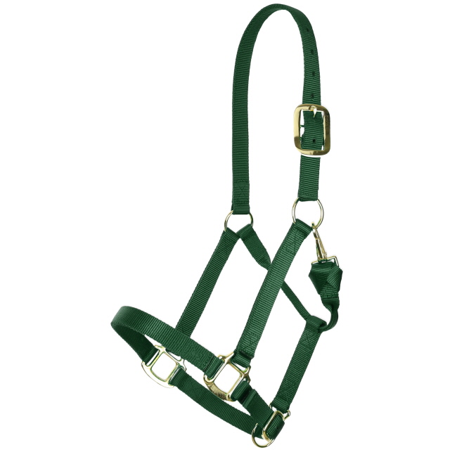 Showman Deluxe Nylon Halter with Throat Clip #3