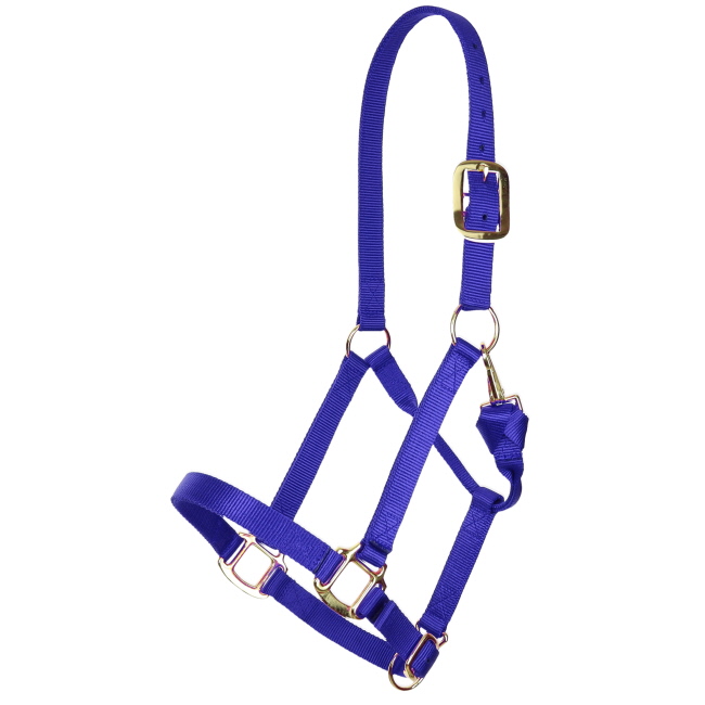 Showman Deluxe Nylon Halter with Throat Clip #4